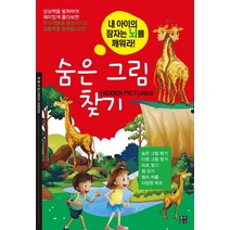 숨은 그림 찾기:내 아이의 잠자는 뇌를 깨워라, 좋은친구출판사