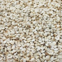 홍화씨 1kg 홍아씨 홍화씨앗 홍화차 홍화씨차 국내산