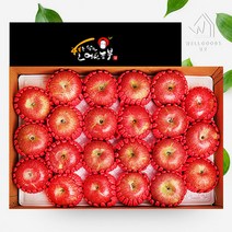 [웰굿]경북 정성담은 명품 사과선물세트 5kg(19-22과), 단품