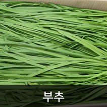 핫한 하나로마트솔부추가격 인기 순위 TOP100