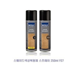 스웨이드 색상 스프레이 250ml 분사형 5종 신발 에나멜, 무색