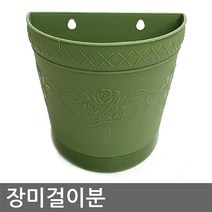 나nanr_장미 걸이분 인테리어화분 넝쿨 덩쿨 벽화분 원예 분갈이용 걸이용 꽃화분♥sksnfll, ♥sstarting