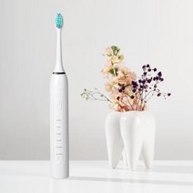 나오 충전식 SIX 모드 음파 전동칫솔 NAO L4100T.나오테크