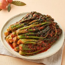 [KT알파쇼핑]반장마켓 여수노반장 돌산갓김치 2.5kg 국내산 외 별미김치, 김치:돌산갓김치 2.5kg