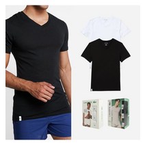 라코스테 라코스테 슬림핏 면 브이넥 로고 티셔츠