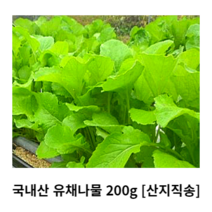국내산 유채나물 200g 400g 500g 1kg 산지직송 유채 생유채 데친유채 건유채 생유채나물 데친유채나물 건유채나물 제철나물 제철채소 봄나물 채소반찬 나물반찬 싱싱한 신선한, 건 유채나물