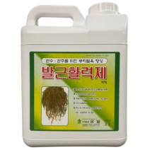 발근활력제 4L 뿌리 발근 발육 해조추출물 아미노산 식물영양제 관주 루트썰 유일