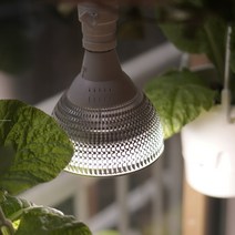 퓨쳐그린 식물생장 성장용 LED 전구 소켓 조명등 식물등 + 화이트 우드 집게형 스탠드 SET, 1세트, 확산형 쑥쑥이 13W / 밝은 전구색