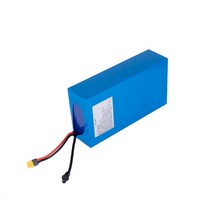 헬퍼솔 48V 20Ah 리튬 이온 Tesla 18650 셀 배터리 팩 13S4P BAFANG 전기 자전거 스쿠터 전자 30A BMS 54.6V 2A 충전기, [02] XT90