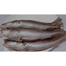 손질 반건조 냉동 민어조기 영상가이 석태 30cm이상 제수용 및밥반찬, 3마리
