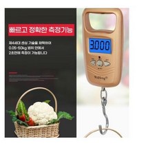 손저울 디지털 여행용 주방용 휴대용 캐리어 디지탈, 저울WH-A17L 골드