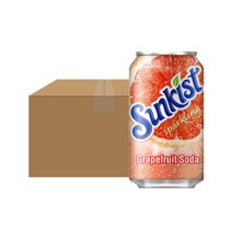 해태음료 썬키스트 자몽소다 355ml X24 캔