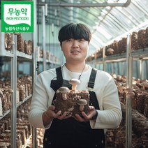 생표고버섯 무농약 1kg 2kg 국산, 2kg (중) 1박스