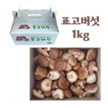 표고버섯 참나무 생 표고 버섯 중품 당일수확 산지직송 1kg