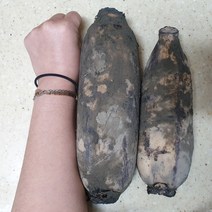 햇연근 국내산 흙연근 1kg 무농약 10년째 당일수확[초록땅], 말린연근 (건조연근채) 300g, 1개