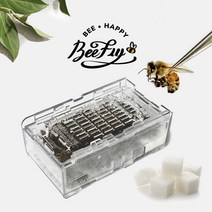 비플라이 건강한 꿀벌 벌침 벌침벌 봉침 봉침벌 벌침용벌+먹이 서비스, 100~120마리