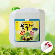 대유 물푸레 10L 1호 B 대용량 양액 수경재배 관주용 액비 엽채 화훼류, 1개