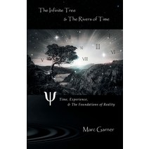 (영문도서) The Infinite Tree & The Rivers of Time: Time Experience & The Foundations of Reality Paperback, Shadowlands Media, English, 9781919629421