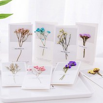 NIP409851말린꽃카드/드라이플라워 카드/프리저브드플라워 카드, 노랑꽃