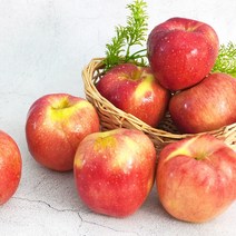 [더조은푸드] 새콤달콤 경북 햇 홍로 사과 (실속형) 2kg, 1박스, 홍로 사과 (실속형) 2kg 14-16과