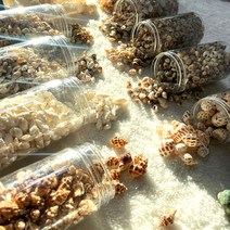 한소픈 여름 장식 소품 자연 미니 조개 소라 껍질 모음 / 여름 바다 디스플레이 인테리어 테마소품 / 어항꾸미기/ 어항조개, 8번