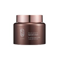 참존 지안 비책 역작 크림 100ml, 단품