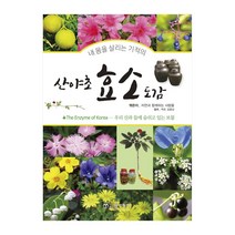 산야초 효소 도감, 상세 설명 참조