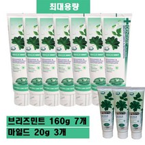 (최신상/최대용량)NEW덴티스테 플러스화이트 브리즈민트 치약세트(10종)
