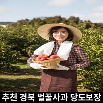 경북 맛있는 껍질채먹는 가정용흡집 고당도 벌꿀 빨간 햇부사사과 3kg 5kg 10kg, 가정용소과, 1개