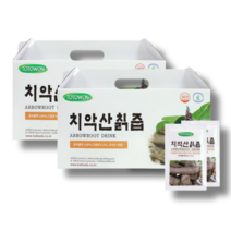 강원식품 토토원 치악산 칡즙 100ml 60포