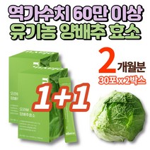 국내산 무안 동결건조 유기농 양배추 효소 가루 분말 스틱 탄수화물 단백질 분해 효소 높은 역가수치 고역가수치 채소가루 아밀라아제 프로테아제, 2박스
