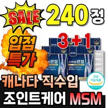 관절엔 먹는 식용유황 캐나다 조인트 관절케어 가루 2000 발가락 베스트 유황제품 음식 손목관절 리얼 성분 정품 msm2000 조인트서포트 맥스 엔아세틸글루코사민 MSM100 먹는, 60정, 4개