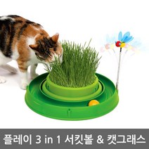팜파크 하겐 캣잇 고양이 플레이 3in1 서킷볼 캣그래스, 1개