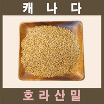 카무드쌀 가격 비교 정리