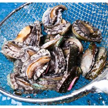 아름다운정성 활전복 꼬마전복 산지직송 완도전복 캠핑 다양한 요리용, 꼬마전복 40~50미 1kg