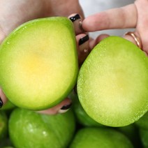 켈시자두 1-2kg(특) 경북 영천 청자두 고당도, 1kg특(8~11과내외)