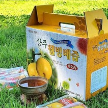도라지 배즙 신토불이 상주 웰빙농장 도라지배즙 1박스(50팩) 생즙, 50팩, 120ml