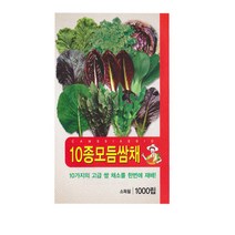 SN월드 씨앗 쌈채소 잎채소 모음, 10종혼합모듬쌈채
