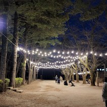 파티라이트 스트링라이트 11M 10구 + 방우 LED 벌브전구 12개 포함 루프탑 캠핑 까페 펜션용 감성조명 무드조명, 11M10구+LED 벌브 8W 전구색 (노란빛)12개