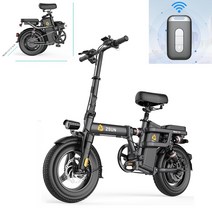 2022년 독일 ZSUN 전동 배달용 출퇴근 14인치 접이식 48V 2인용 스로틀 PAS 전기자전거 관부가세포함, 고급형 그린, 20Ah_80~90KM(PAS)