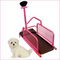 강아지근력운동 강아지운동 강아지수중런닝머신 강아지재활 접이식런닝머신 반려견자동급식기 고양이운동기구 펫링 테크노짐런닝머신 런닝머신벨트 런닝머신 강아지 수중런닝머신 고양이캣휠 개런닝머