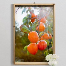 da379-우드프레임액자_재물을풍성하게감나무, 4.예쁘게익은감