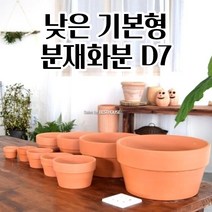 낮은 분재 화분 D7 다육이 선인장 토분 꽃 공 빈 이쁜 예쁜 빈티지화분 심플한화분 고무