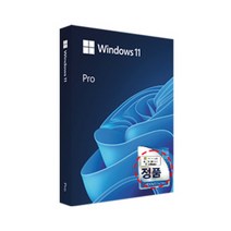 마이크로소프트 Windows 11 Pro FPP 정품USB 처음사용자용 한글 [온라인공인인증점], 윈도우 11 PRO FPP