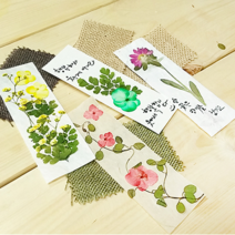 그린팜네이처 한지책갈피 만들기 KIT (일반코팅지), 원색한지