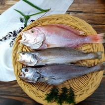 부산 반건조 생선 제수용 세트 특별 구성 상품, [작음] 소 - 몽세트 (민어조기/돔/참민어)
