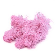 스칸디아 이끼 모스 액자 실내공기정화식물20g 인공 식물 영원한 생활 이끼 정원 홈 장식 벽 diy 꽃 재료, 08 pink