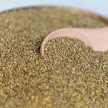 쌀보리콩 국산 햇 차조 500g 1kg 5kg, 차조(지퍼팩) 500g