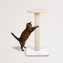 NF_내일도착 피카노리 반려묘 카페트 재질 고양이 MDF 폴 스크래쳐 PECA8206MW, 브라운 PECA8206MB