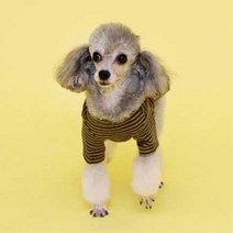 국산 사계절 스트라이프 티셔츠 강아지 옷 반려견입양 강아지의류 개입양, S